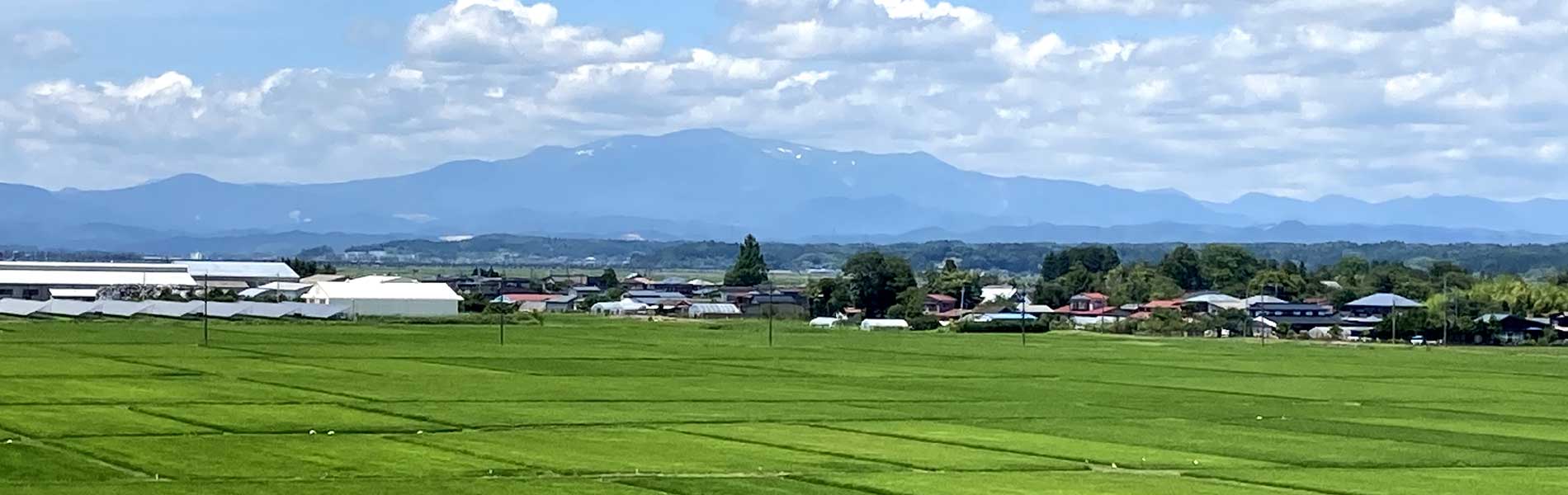 病棟からの風景