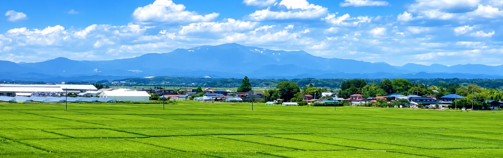 病棟からの風景